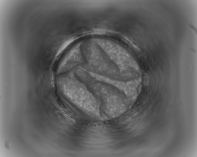 X0000097771208200803281632