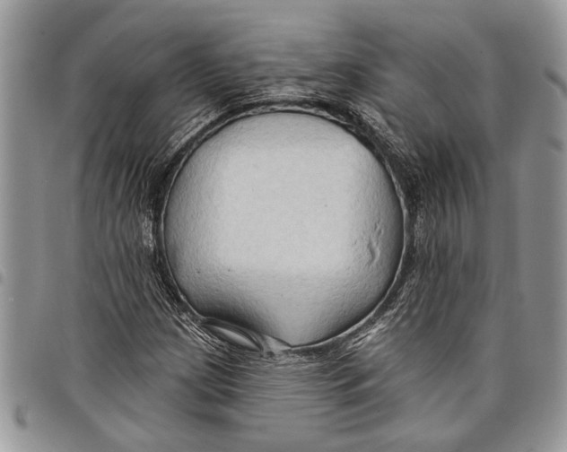 X0000097771209200803281632