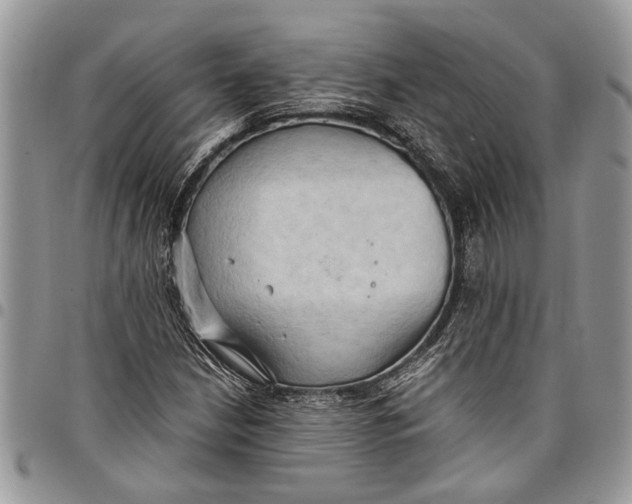 X0000097771210200803281632