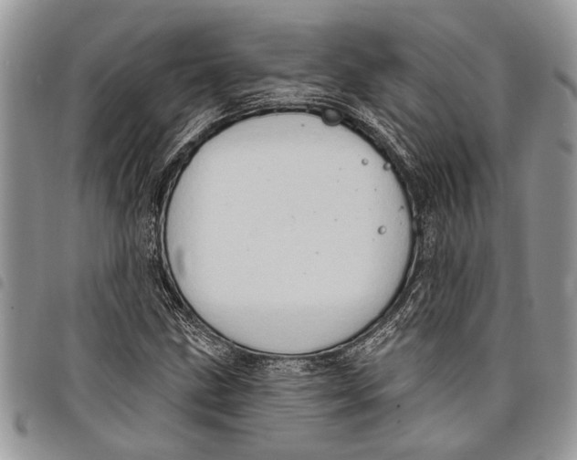 X0000097771211200803281632