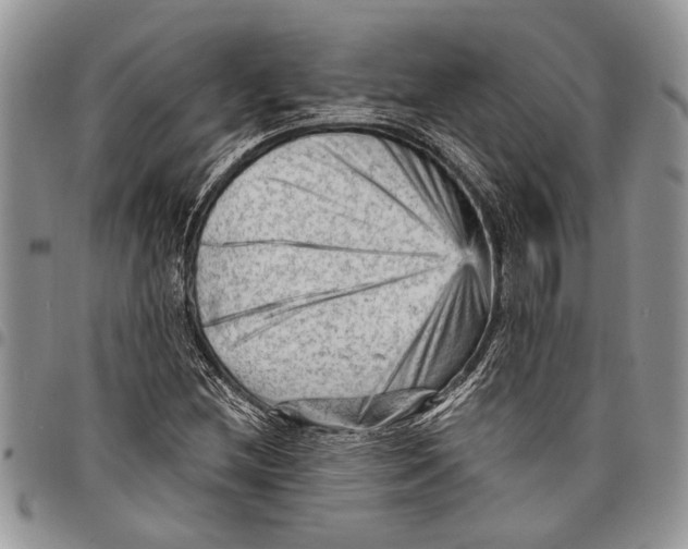 X0000097771212200803281632