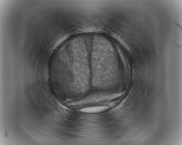 X0000097771213200803281632