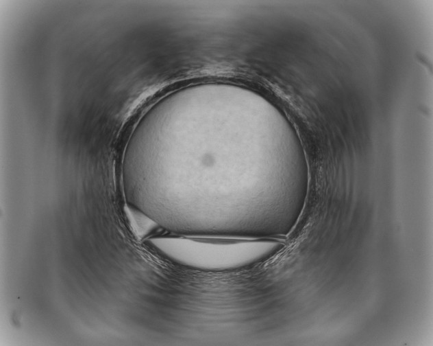 X0000097771214200803281632