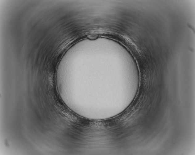 X0000097771217200803281632