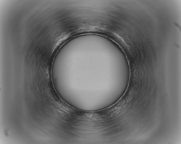 X0000097771218200803281632