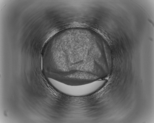 X0000097771219200803281632