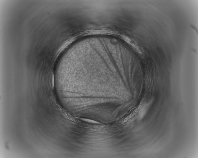 X0000097771221200803281632