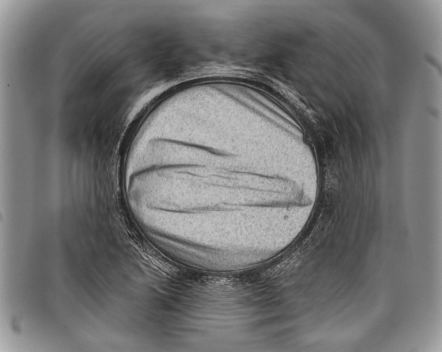 X0000097771222200803281632