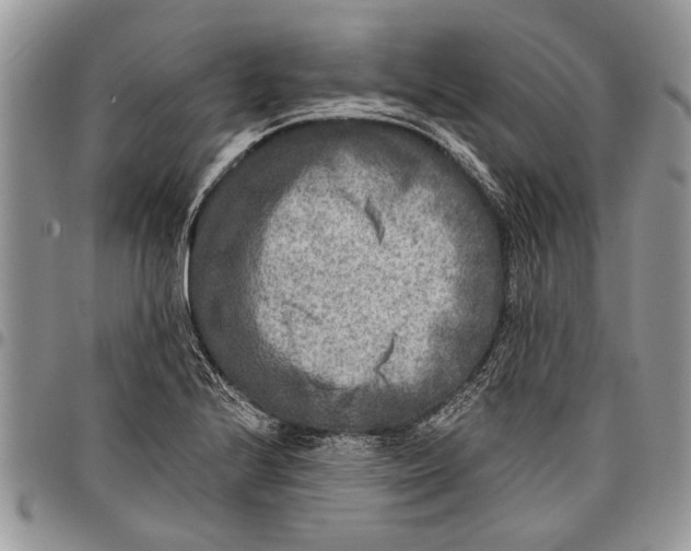 X0000097771224200803281632