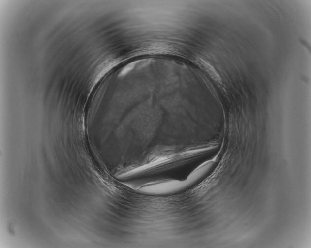 X0000097771226200803281632