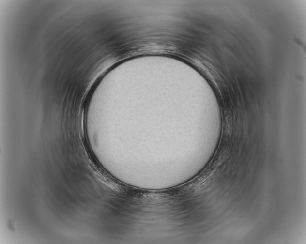 X0000097771227200803281633