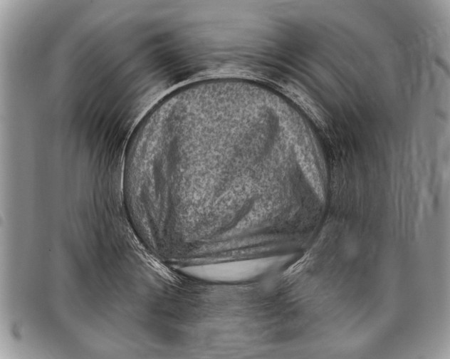 X0000097771228200803281633