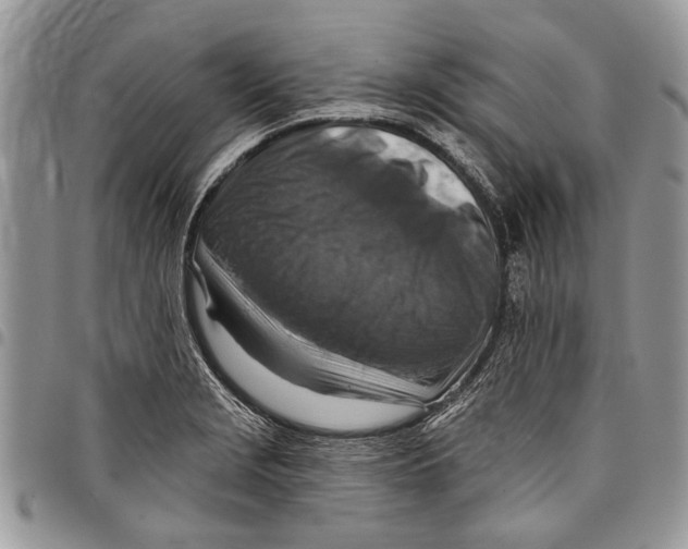 X0000097771229200803281633