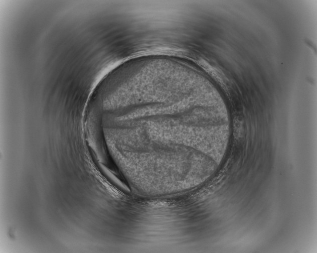 X0000097771230200803281633