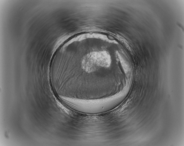 X0000097771231200803281633