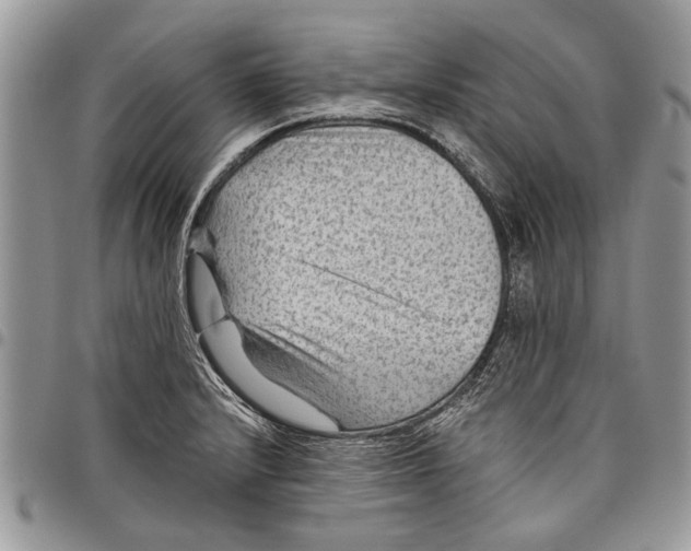 X0000097771232200803281633