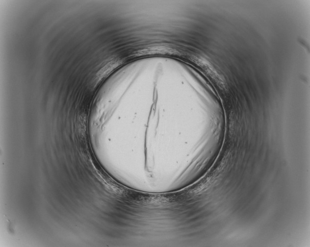 X0000097771233200803281633