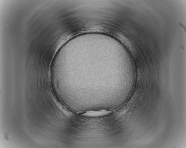 X0000097771234200803281633