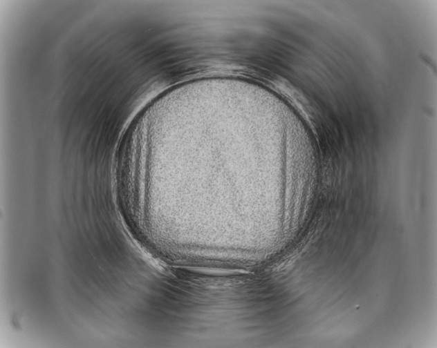 X0000097771235200803281633