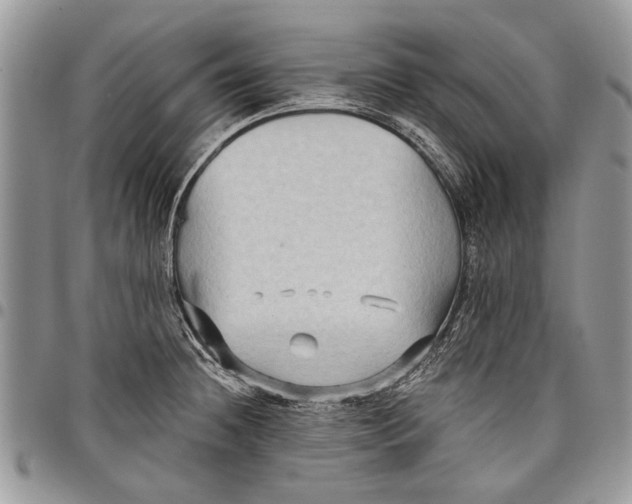 X0000097771236200803281633