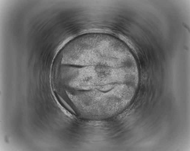 X0000097771237200803281633