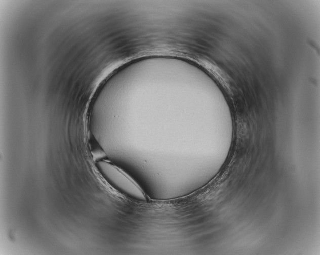 X0000097771238200803281633