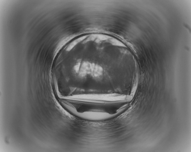 X0000097771239200803281633