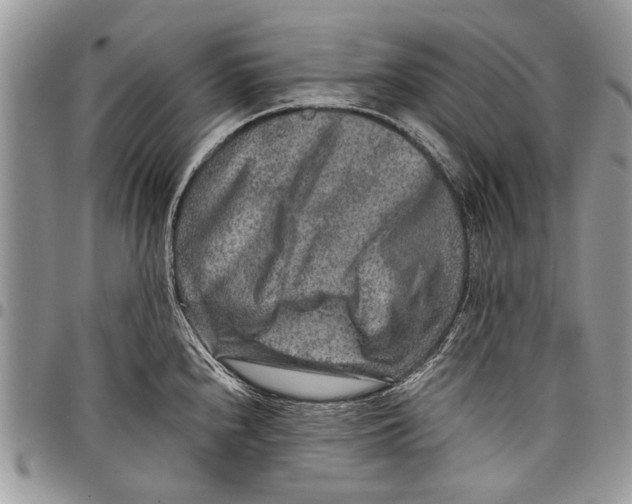 X0000097771240200803281633