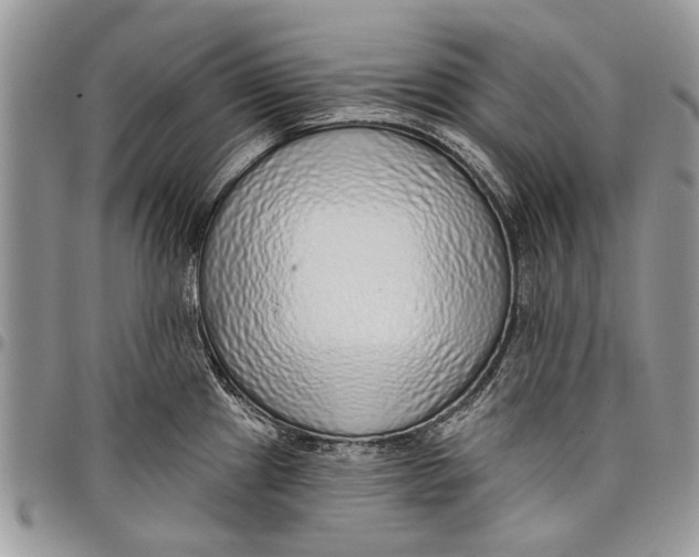 X0000097771241200803281633