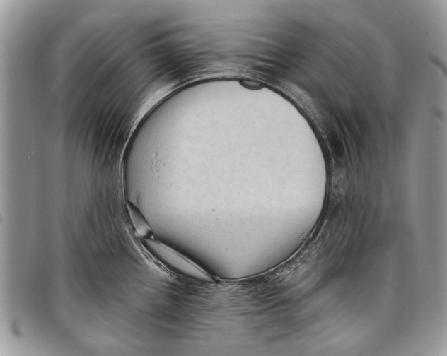 X0000097771242200803281633