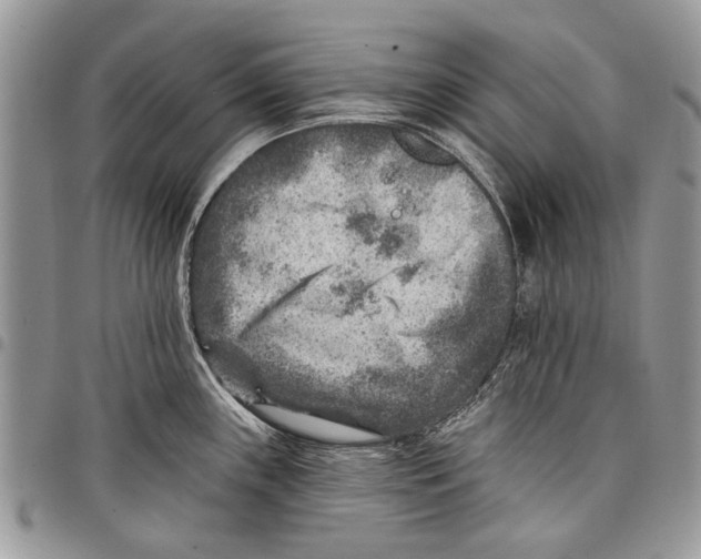 X0000097771243200803281633