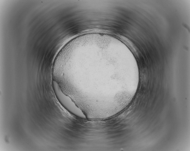 X0000097771244200803281633