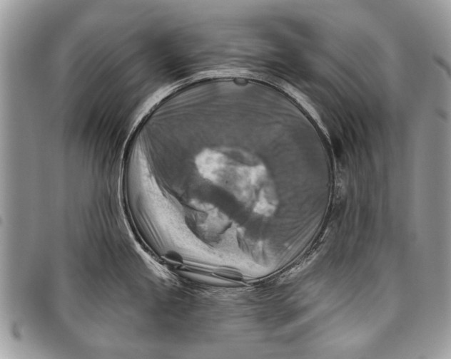 X0000097771245200803281633