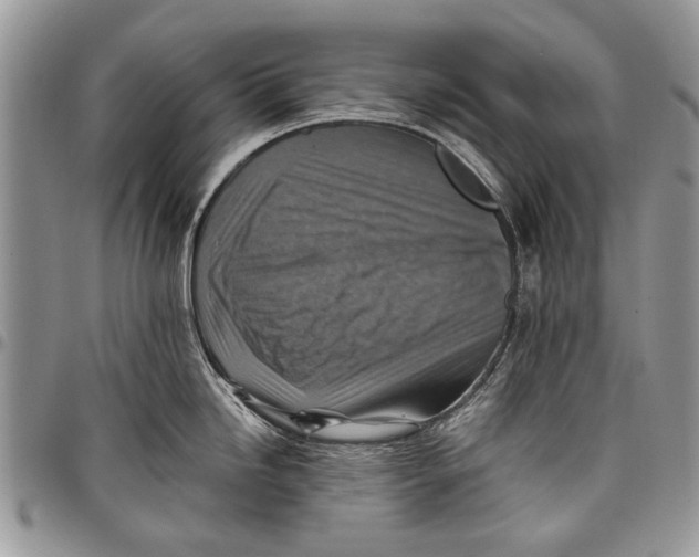 X0000097771246200803281633