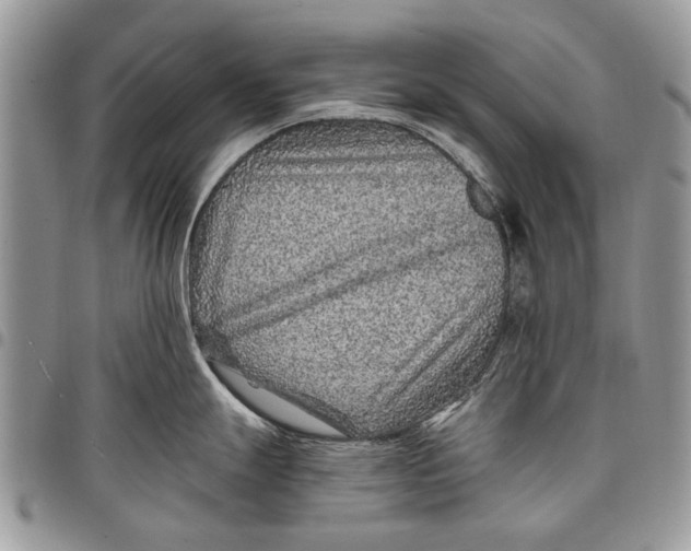 X0000097771247200803281633