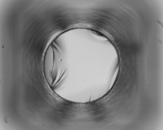 X0000097771248200803281633