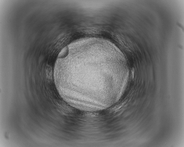 X0000097771251200803281632