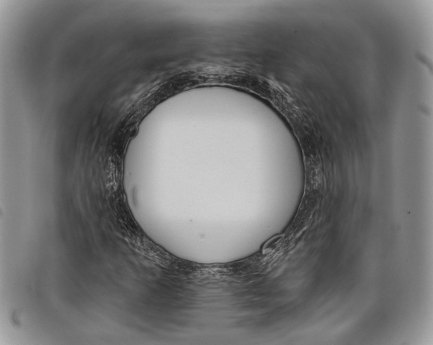 X0000097771253200803281632