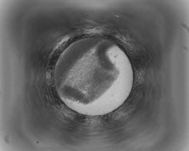 X0000097771254200803281632