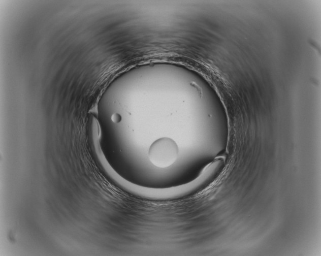 X0000097771257200803281632