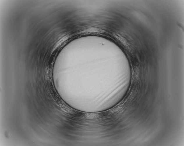 X0000097771258200803281632