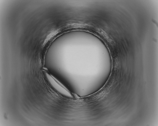 X0000097771261200803281632