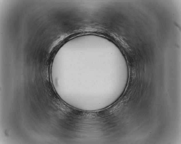 X0000097771262200803281632