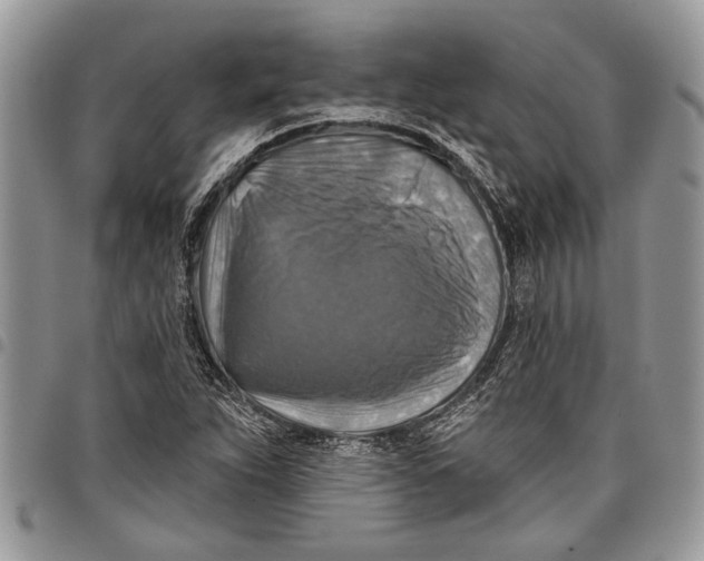 X0000097771263200803281632