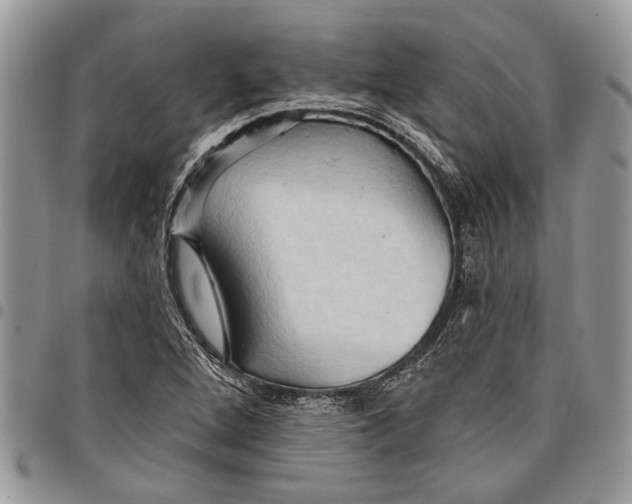 X0000097771264200803281632