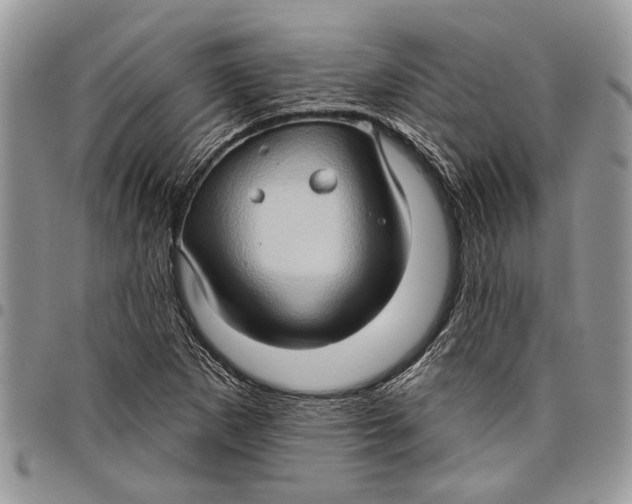 X0000097771265200803281632