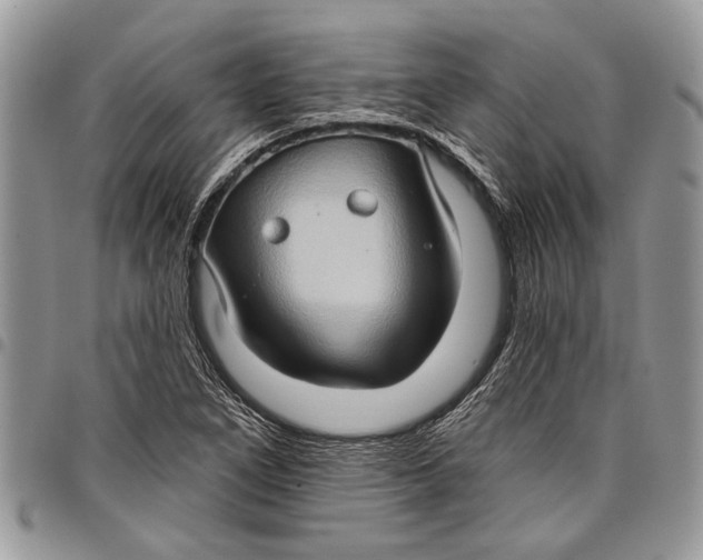 X0000097771266200803281632