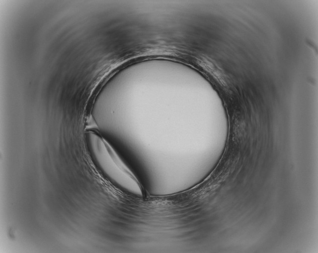 X0000097771268200803281632