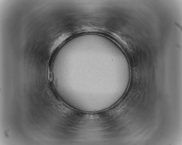 X0000097771269200803281632