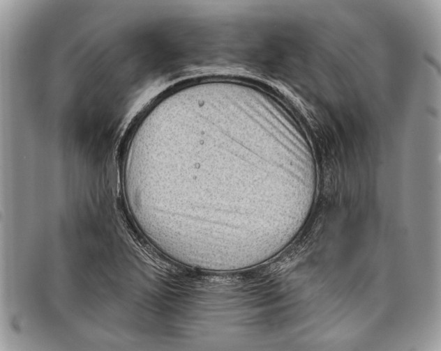 X0000097771271200803281632